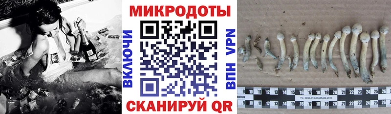 hydra ТОР Старый Оскол Галлюциногенные грибы мицелий